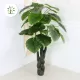 Planta Artificiala Alocasia odora, fara Ghiveci, 150cm Verde Planta Artificiala Alocasia odora, fara Ghiveci, 150cm Verde