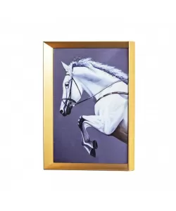 Tablou Cal Alb cu Coama Alba 43x33cm, Rama Bronz, TBL19/BZ