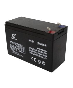 Acumulator 12 V pentru pompa de stropit, Elefant