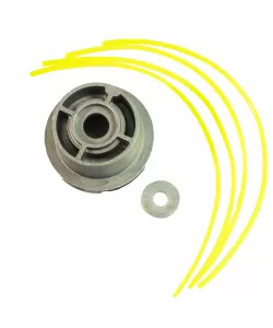 Cap mosor caracatita motocoasa, Elefant Cap mosor caracatita motocoasa, Elefant