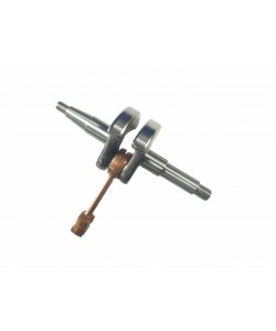 CCS1021 AMBIELAJ CHINA-4500, Elefant