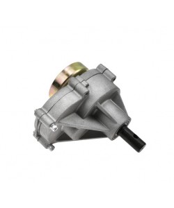 cutie de viteza pentru motoburghiu