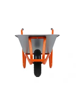 D2 roaba DETEX D2 roaba DETEX