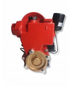 Mini Hidrofor Elefant PS170 fonta, silentios, 0.37 kW, turbina bronz, max 1.8 bari