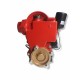 Mini Hidrofor Elefant PS170 fonta, silentios, 0.37 kW, turbina bronz, max 1.8 bari