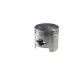 Piston atomizor, Elefant Piston atomizor, Elefant