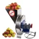 Razatoare fructe Vinita, manuala fulie atasare motor, Tamburcuva inox Razatoare fructe Vinita, manuala fulie atasare motor, Tamburcuva inox