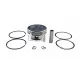 SET PISTON MS170, Elefant SET PISTON MS170, Elefant