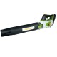 Suflanta pe acumulator PB20 PROCRAFT