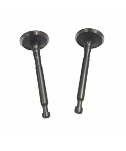 Supape compatibilie Honda GX 160 (5.5hp, 6.5hp, 168F), Elefant