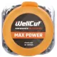 WC-BPZ25100 WELLCUT SCREWDRIVER BIT PZ2 100 PCS PZ2 25 MM WC-BPZ25100 WELLCUT SCREWDRIVER BIT PZ2 100 PCS PZ2 25 MM
