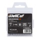WC-BPZ2520 WELLCUT SCREWDRIVER BIT PZ2 20 PCS PZ2 25 MM