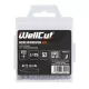 WC-BPZ2520 WELLCUT SCREWDRIVER BIT PZ2 20 PCS PZ2 25 MM WC-BPZ2520 WELLCUT SCREWDRIVER BIT PZ2 20 PCS PZ2 25 MM