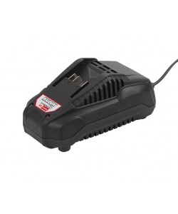 R20 Incarcator acumulator pentru RDP-R20 System