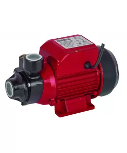 Pompa de apa 500W RD-WP60