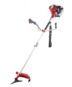 Motocoasa cu lama si fir tija detasabila 2.2kW RD-GBC24