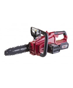 R20 Fierastrau electric cu lant 250mm 3Ah RDP-SCS20 Set
