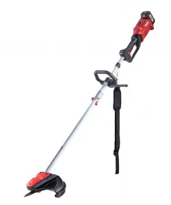 R20 Trimmer 300mm 20V 2Ah 1h RDP-SBBC20 Set