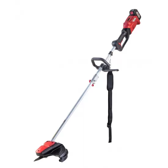 R20 Trimmer 300mm 20V 2Ah 1h RDP-SBBC20 Set