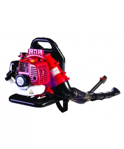 Suflanta pe benzina tip rucsac 43cc 1.25kw RD-GB06