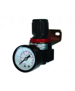 Regulator aer cu ceas 1/4 F RD
