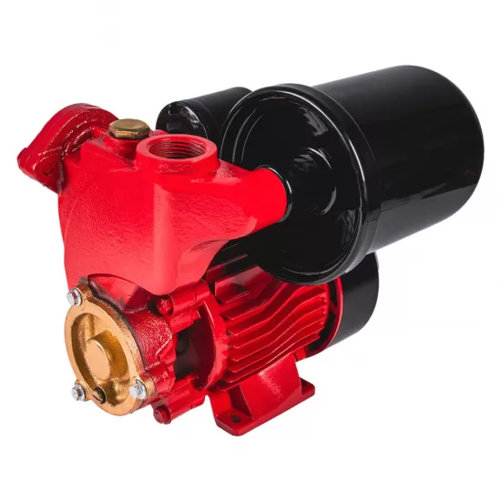 Mini hidrofor 550W 1" 45L/min 58m RD-WP550