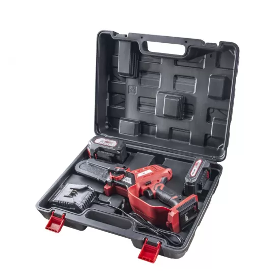 R20 fierastrau electric de gradina 2Ah&4Ah RDP-SBGP20 Set