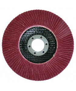 Disc ptr slefuit 115mm А-60