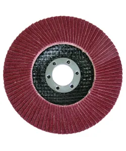 Disc ptr slefuit 115mm А-60