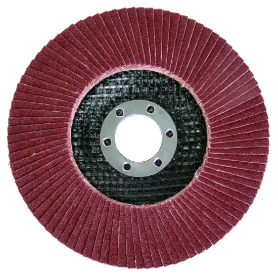 Disc ptr slefuit 115mm А-60