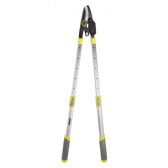 Foarfeca crengi telescopica mecanism clichet tip nicovală GX