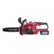 R20 Fierastrau electric cu lant 250mm 3Ah RDP-SCS20 Set