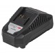 R20 Foarfeca gazon si trimmer gard viu 2in1 2Ah RDP-KGSHT20