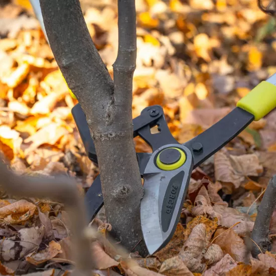 Foarfeca crengi telescopica mecanism clichet tip nicovală GX