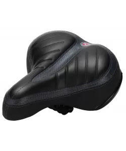 Sa bicicleta cu arcuri - cambo