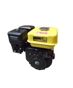 Motor Stager UP168-1, benzina, 163 cmc