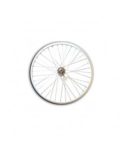 Roata bicicleta spitate 20 spate cp