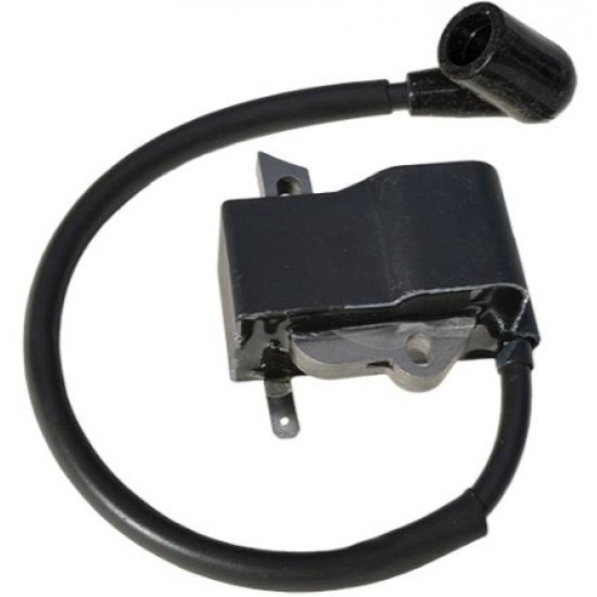 Aprindere Husqvarna 125 R- 128 R (Walbro)