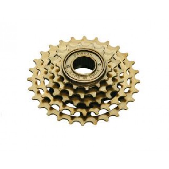 Pinion bicicleta 5