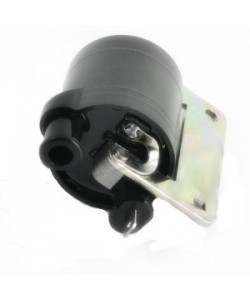 Bobina inductie scuter piaggio 50 - externa