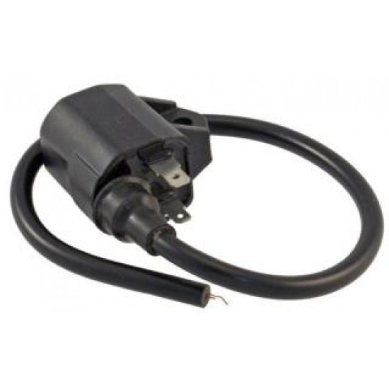 Cdi (bobina inductie) scuter sukuzi/morini/aprilia