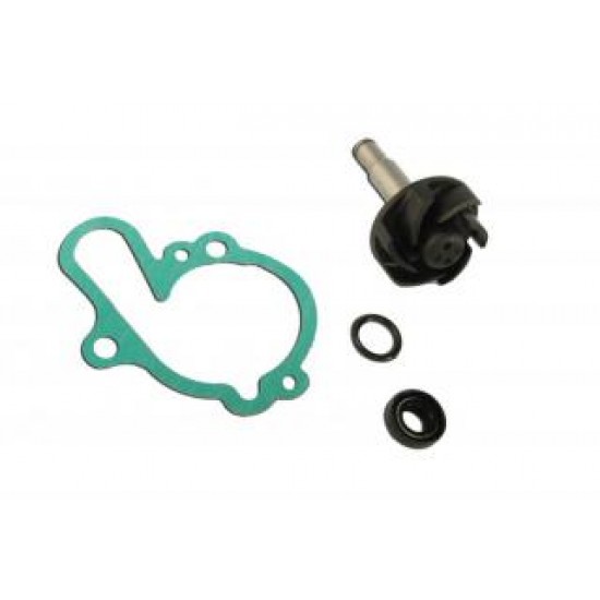 Kit scuter pompa apa yamaha am6 50