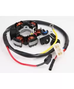 Magnetou scuter honda 50 af18/25/27/28, tact30/31 - 6 poli