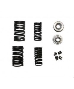 Set arcuri scuter supape gy6 50