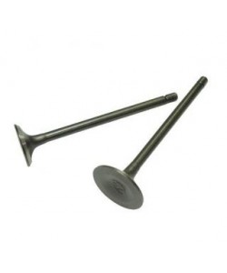 Set supape scuter atv 110