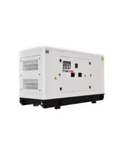 Generator Tide Power TQ800C cu automatizare Generator Tide Power TQ800C cu automatizare