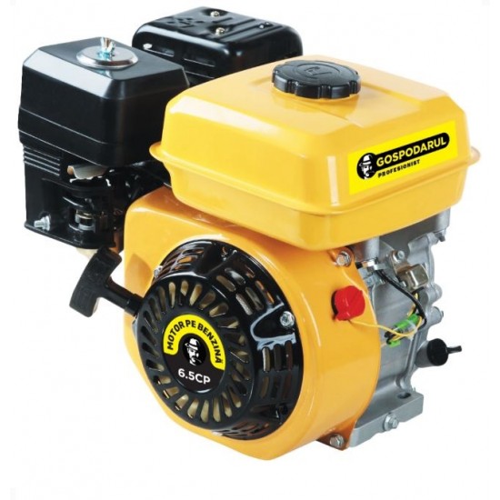 Motor benzina Gospodarul Profesionist 6.5CP