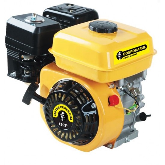Motor benzina Gospodarul Profesionist 13CP