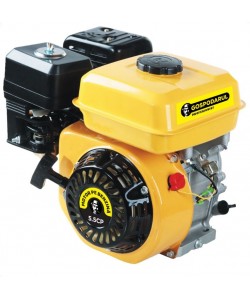 Motor benzina Gospodarul Profesionist 5.5CP