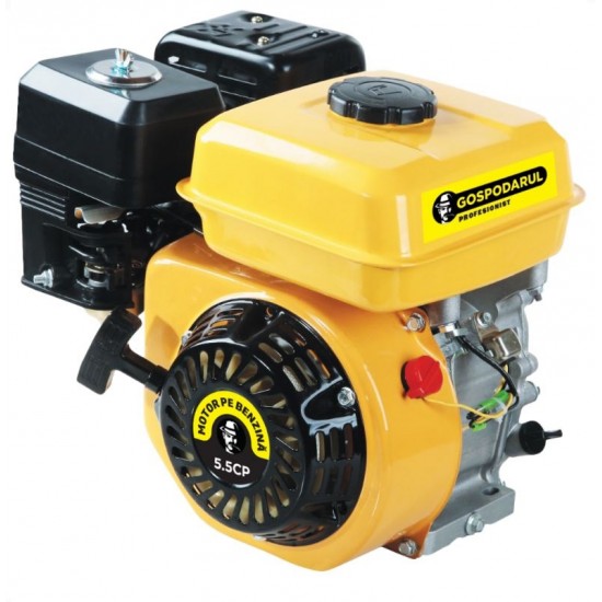 Motor benzina Gospodarul Profesionist 5.5CP